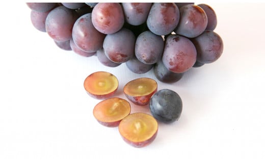 【田口ファミリーファーム】旬のぶどう(4房~8房) N053-YZD0143