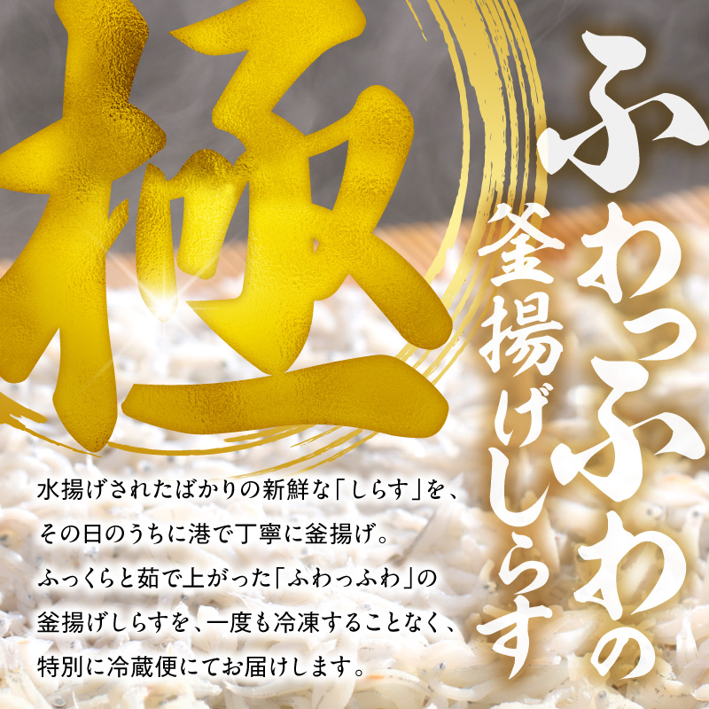 【とれたて直送】極しらす干し 1kg N065-YA4442