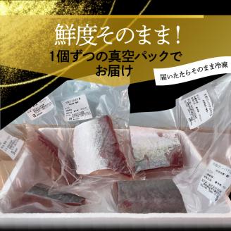 【大和海商】大和ブランドプレミアムSETブリカンパチ小分け刺身海の幸 N072-YA848