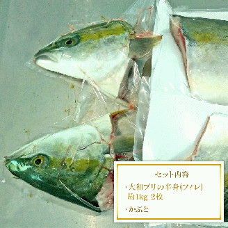 【大和ブリ】半身(ﾌｨﾚ)約1kg×2枚かぶと付き N072-YD0190