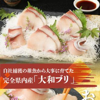 【12ヵ月定期便】大和海商 大和ブリの切り身 N072-YG0184