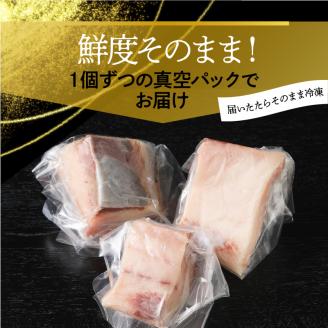 【12ヶ月定期便】大和海商大和ブリの切り身たっぷりセット N072-YH053