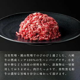 八崎牛のハンバーグ120g×5個 N0105-YZA4408