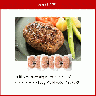 九州クラフト黒毛和牛のハンバーグ(100g×2個入り)×3パック N0105-YA0303