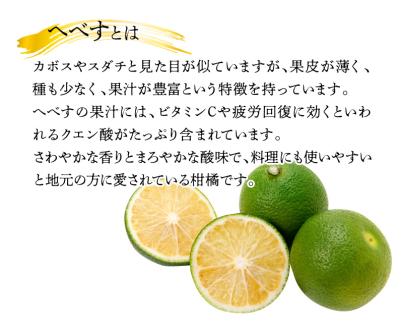 へべすのお酒1800ml N041-YA691