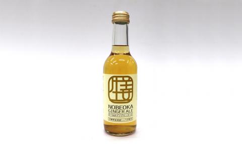 【のべおか道の駅】のべおかジンジャーエール24本 N009-YZB219