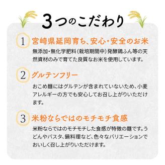 【グルテンフリー】無添加おこめ麺100g×6袋 N0107-YA030