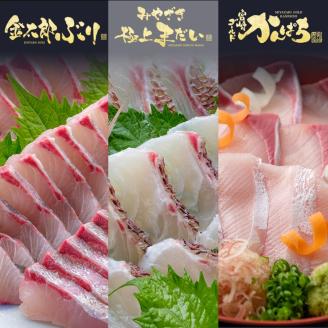 鰤屋金太郎【冷凍】ぶりたいかんぱちスキンレスロイン各種600g N018-YD0262-2