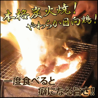 日向鶏炭火焼き400g×3ﾊﾟｯｸ1.2kg N066-YZB810