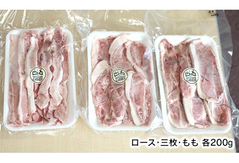 ジビエ革命～究極のジビエ猪肉セット N028-YZA508
