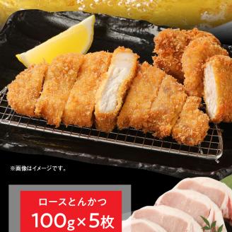 豚ロースとんかつ100g×5ロースしゃぶ500gヒレとんかつ400g計1.4kg N0147-YA861