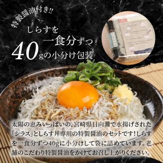 しらす丼セット(40g×5袋)特製醤油付き N065-YA0221