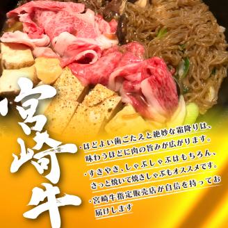 宮崎牛ロースうす切り（1kg） N061-YZE013