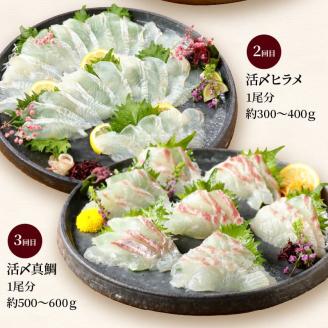 【お楽しみ定期便】延岡産活〆鮮魚の豪華お刺身（6ヶ月定期便） N019-YF073