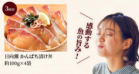 お魚の漬け丼バラエティ3回定期便 N019-YC712