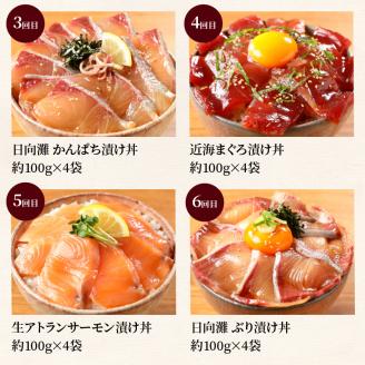 お魚の漬け丼バラエティ7回定期便 N019-YF072