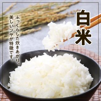 宮崎ヒノヒカリ延岡産白米と白い玄米セット合計10.8㎏ N0149-YD0233