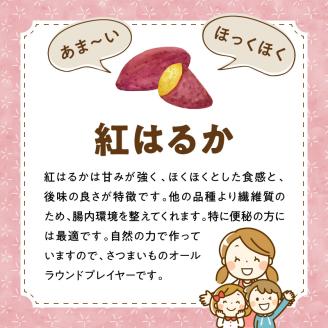 干し芋紅はるか100g×4袋 N063-YA0273