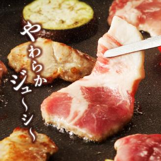 【宮崎ブランドポーク】肩ロース焼肉500g N061-YA0451