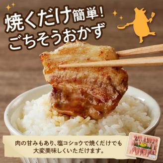 【宮崎ブランドポーク】豚バラ焼肉500g N061-YA0450