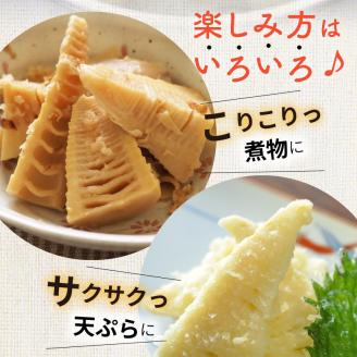 たけのこ水煮1kg N067-YA1104