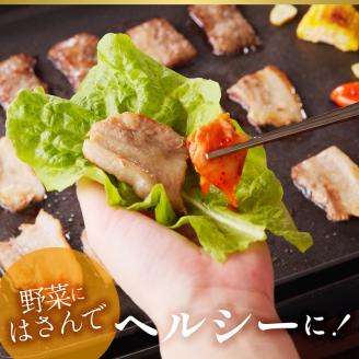 宮崎牛・宮崎ブランドポーク焼肉各500g N023-YZC019