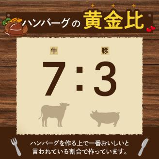 宮崎牛･宮崎ブランドポーク合挽ミンチ1kg N061-YA5509