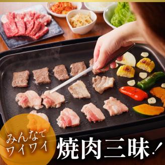 宮崎牛おまかせ焼肉セット N023-YZA304