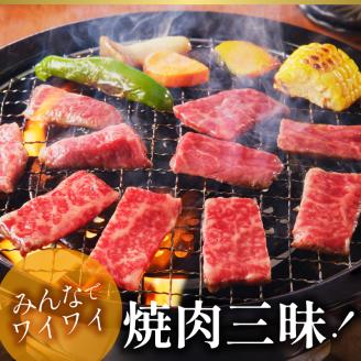 宮崎牛焼肉セット N023-YZB101