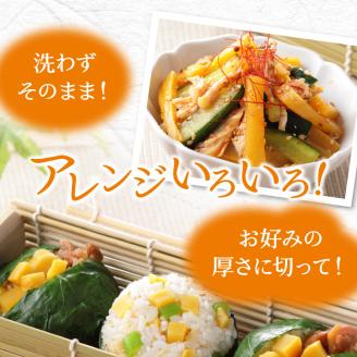 低温熟成 謹製 しそ風味 寒干したくあん　N067-YZA0187