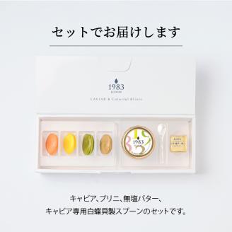 宮崎キャビア1983(12g)&カラフルブリニセット N027-YC910
