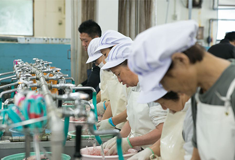 活とらふぐ本格セット N013-YZF002