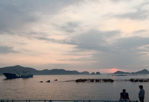 延岡市島浦島育ちの厳選鮮魚セット N015-YZC002