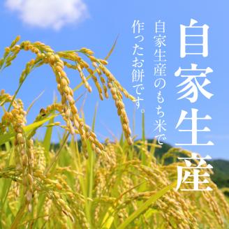 もち20個  N0182-YA0475