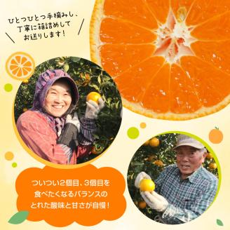 青島みかん 10kg N0132-YB351