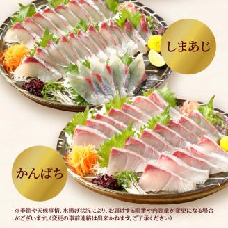 定期便定番シリーズ活〆鮮魚のお刺身(3ヶ月お届け) N019-YD0198