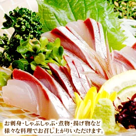 【大和ブリ】半身(ﾌｨﾚ)約1.0kg×1枚ｽｷﾝﾚｽﾛｲﾝ仕様 N072-YB327_1