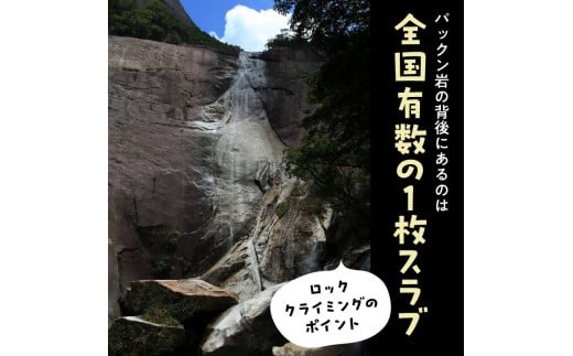 パックン岩トレッキング N002-YZC410