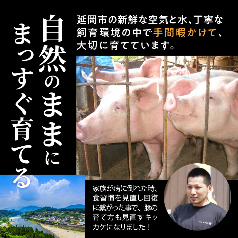 延岡よっとん 皮付バラブロック約1kg N003-YB130