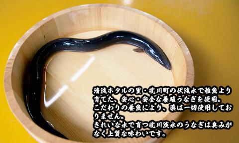 【急速冷凍】北川鰻の白焼き（2尾） N010-YA665