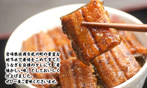 【急速冷凍】北川鰻の白焼きセット N010-YC519