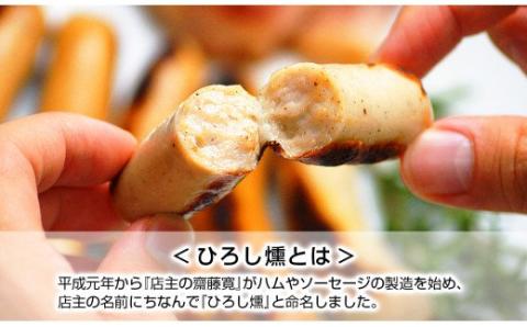 【齋藤精肉店】こだわりの燻製ひろし燻ハム・ソーセージ６種セット 詰め合わせ 手作り 自家製 ベーコン スモーク チーズ ヒレハム フライッシュケーゼ ロースハム 国産 宮崎県延岡市 冷蔵 送料無料 N0101-YZA360