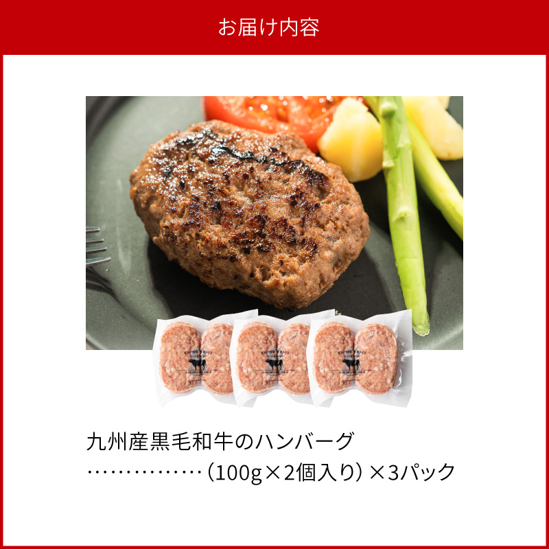 九州産黒毛和牛のハンバーグ(100g×2個入り)×3パック N0105-YA0303