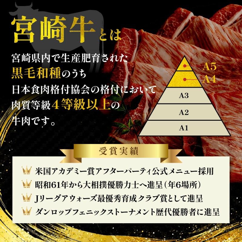 宮崎牛 モモスライス500g N0140-YA4427