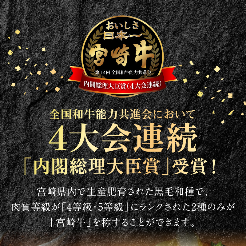 宮崎牛ロースステーキ 250g×2 計500g N0147-YB827