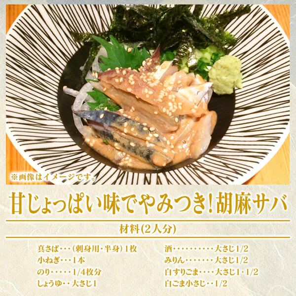 【内閣総理大臣賞受賞！】ひむか本サバ１尾(セミドレス)400ｇ以上 N025-YA0386