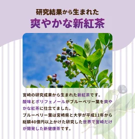 Beau tea Days ブルーベリー葉 紅茶　N048-YZA096