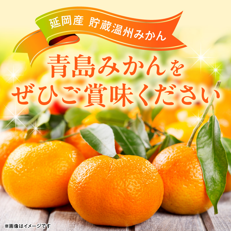 青島みかん（10kg）12月下旬から発送 N050-YA979