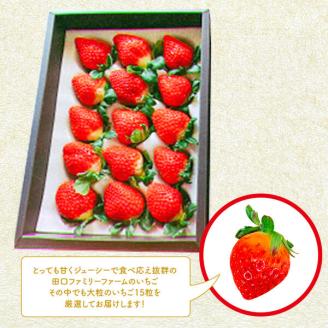 【田口ファミリーファーム】大粒完熟いちご(さがほのか)15粒(1月中旬発送開始) N053-YA2261