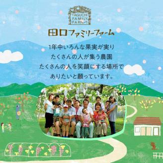 【田口ファミリーファーム】いちご(さがほのか)40粒入り(1月中旬発送開始) N053-YA3346